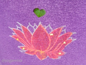 Yogaressa-lotus-heart-2798