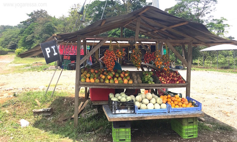 Costa-Rica-fruit-stand-0678b