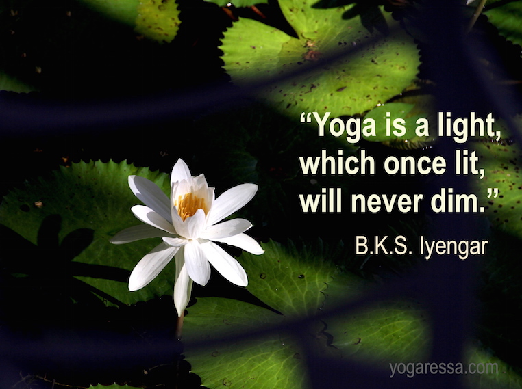 Iyengar-quote-light-yoga